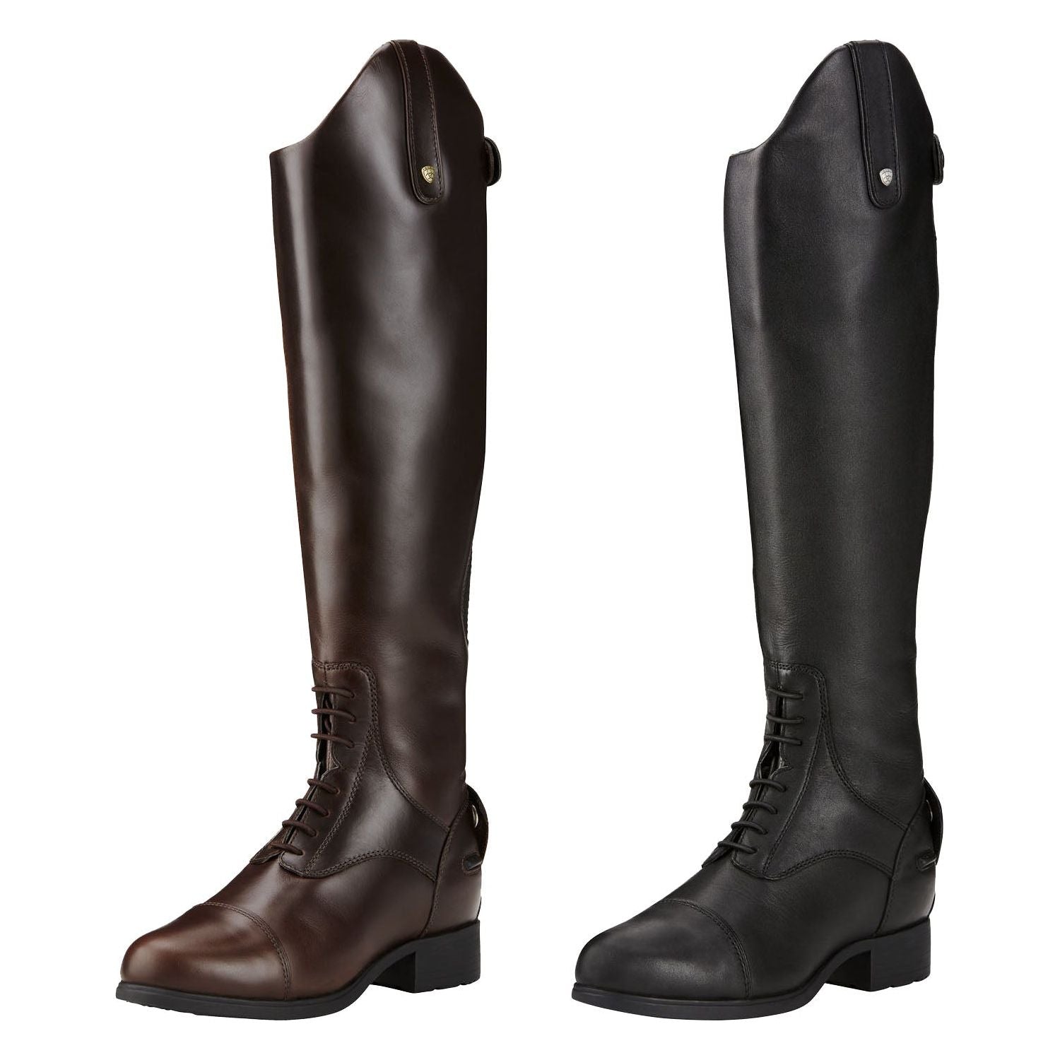 Ariat pro on sale